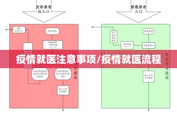 疫情就医注意事项/疫情就医流程