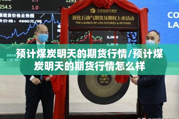预计煤炭明天的期货行情/预计煤炭明天的期货行情怎么样