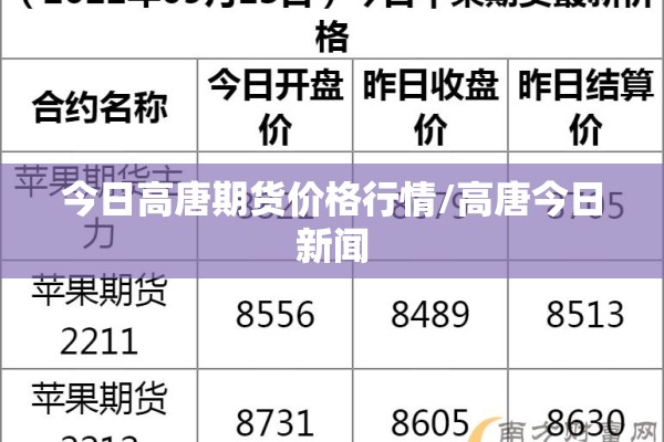 今日高唐期货价格行情/高唐今日新闻 今日高唐期货价格行情/高唐今日新闻