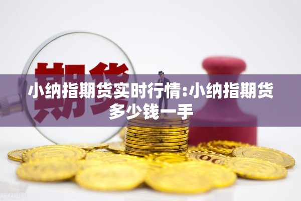 小纳指期货实时行情:小纳指期货多少钱一手