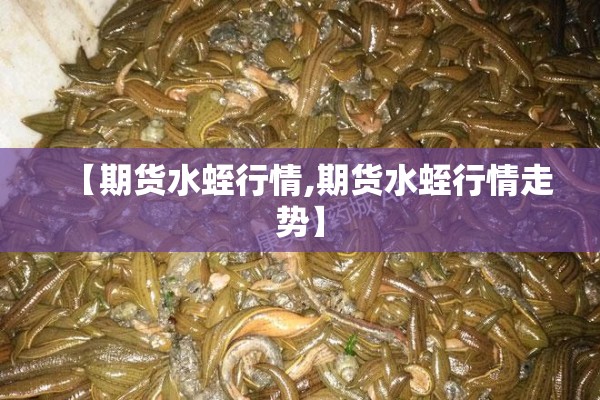 【期货水蛭行情,期货水蛭行情走势】 【期货水蛭行情,期货水蛭行情走势】