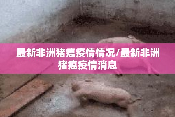 最新非洲猪瘟疫情情况/最新非洲猪瘟疫情消息 最新非洲猪瘟疫情情况/最新非洲猪瘟疫情消息