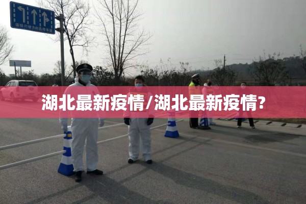 湖北最新疫情/湖北最新疫情?