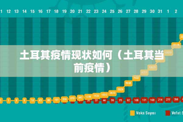 土耳其疫情现状如何（土耳其当前疫情）
