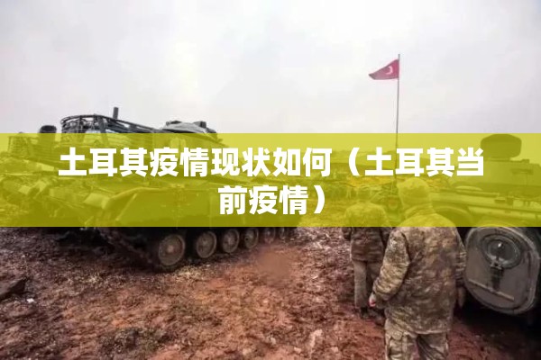 土耳其疫情现状如何（土耳其当前疫情）