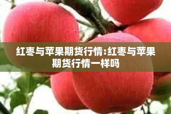 红枣与苹果期货行情:红枣与苹果期货行情一样吗 红枣与苹果期货行情:红枣与苹果期货行情一样吗