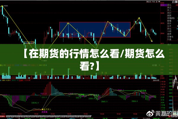 【在期货的行情怎么看/期货怎么看?】 【在期货的行情怎么看/期货怎么看?】