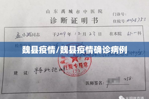 魏县疫情/魏县疫情确诊病例 魏县疫情/魏县疫情确诊病例