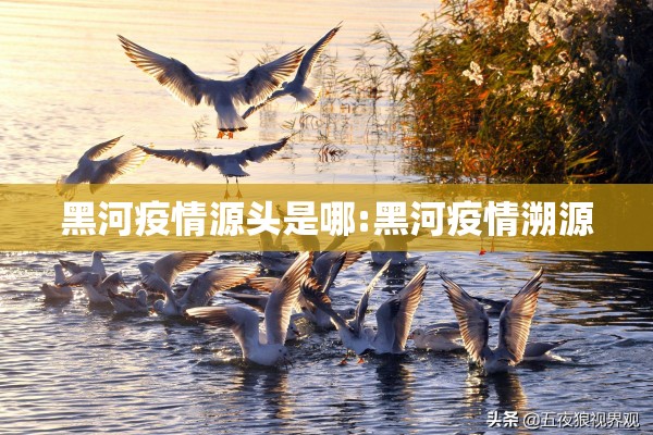 黑河疫情源头是哪:黑河疫情溯源
