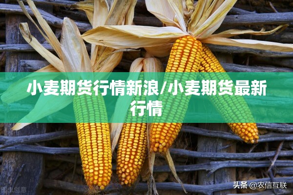 小麦期货行情新浪/小麦期货最新行情 小麦期货行情新浪/小麦期货最新行情