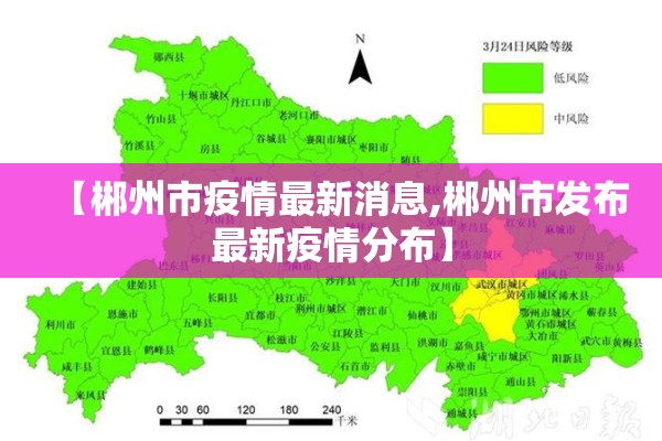 【郴州市疫情最新消息,郴州市发布最新疫情分布】
