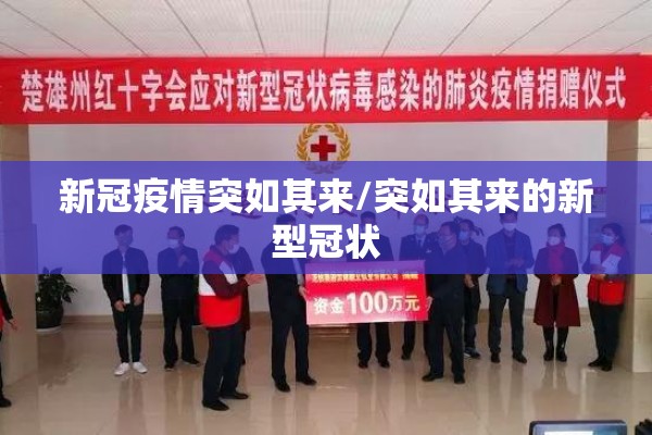 新冠疫情突如其来/突如其来的新型冠状 新冠疫情突如其来/突如其来的新型冠状