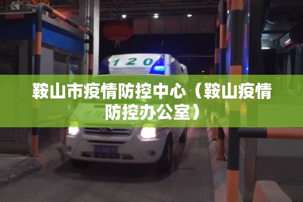 鞍山市疫情防控中心(鞍山疫情防控办公室) 鞍山市疫情防控中心(鞍山疫情防控办公室)
