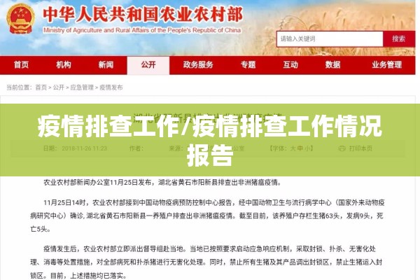 疫情排查工作/疫情排查工作情况报告 疫情排查工作/疫情排查工作情况报告