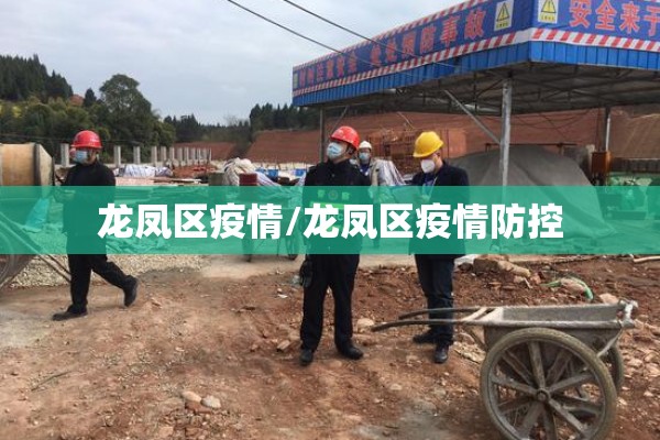 龙凤区疫情/龙凤区疫情防控 龙凤区疫情/龙凤区疫情防控