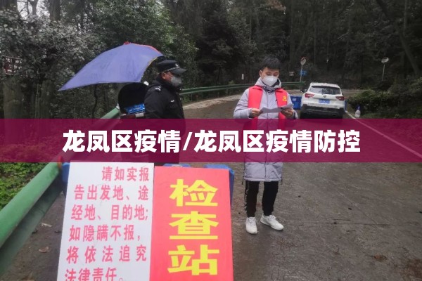 龙凤区疫情/龙凤区疫情防控 龙凤区疫情/龙凤区疫情防控