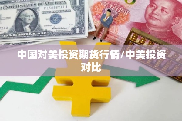 中国对美投资期货行情/中美投资对比