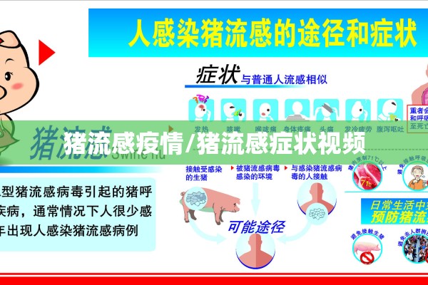 猪流感疫情/猪流感症状视频 猪流感疫情/猪流感症状视频