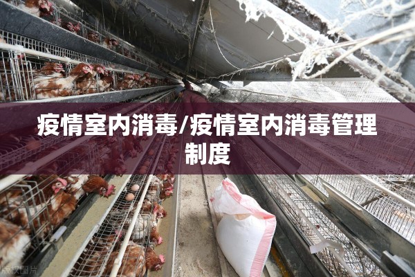 疫情室内消毒/疫情室内消毒管理制度 疫情室内消毒/疫情室内消毒管理制度