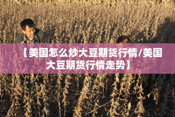 【美国怎么炒大豆期货行情/美国大豆期货行情走势】
