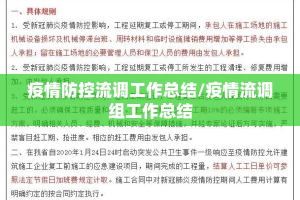 疫情防控流调工作总结/疫情流调组工作总结 疫情防控流调工作总结/疫情流调组工作总结