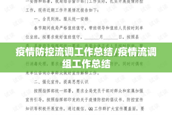 疫情防控流调工作总结/疫情流调组工作总结 疫情防控流调工作总结/疫情流调组工作总结