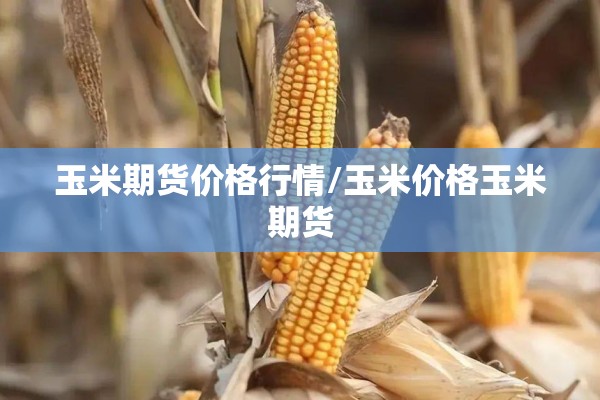 玉米期货价格行情/玉米价格玉米期货