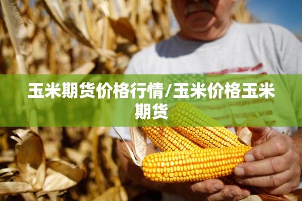玉米期货价格行情/玉米价格玉米期货