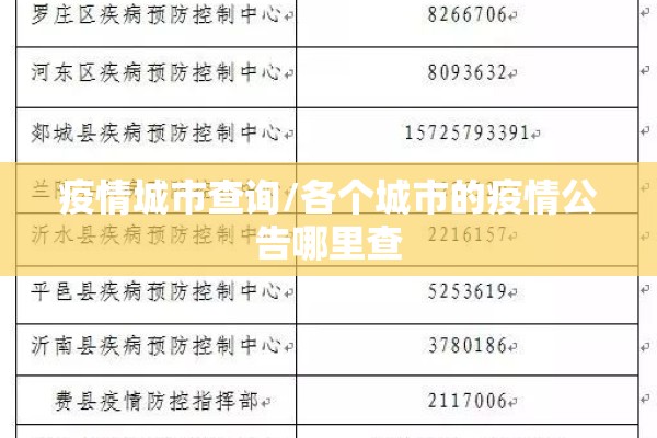 疫情城市查询/各个城市的疫情公告哪里查