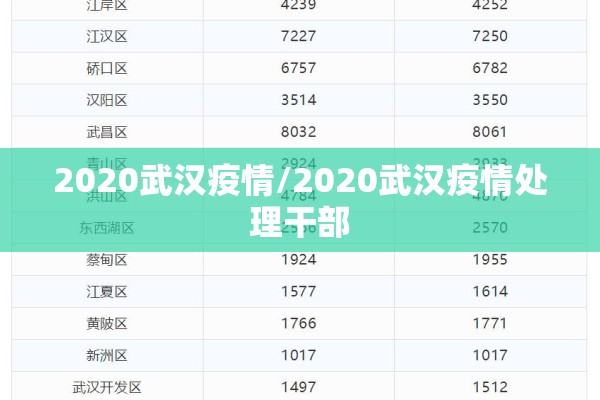 2020武汉疫情/2020武汉疫情处理干部
