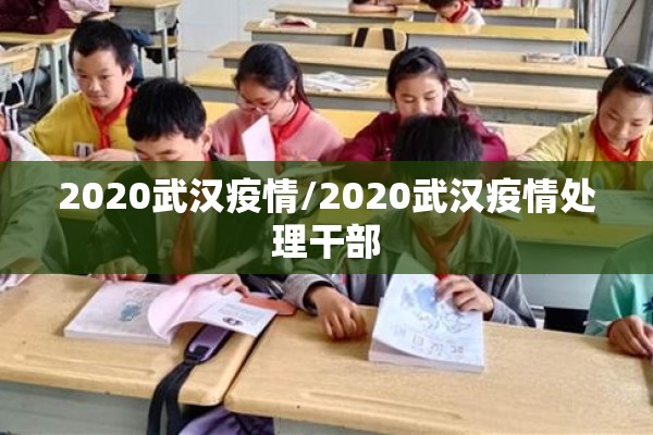 2020武汉疫情/2020武汉疫情处理干部