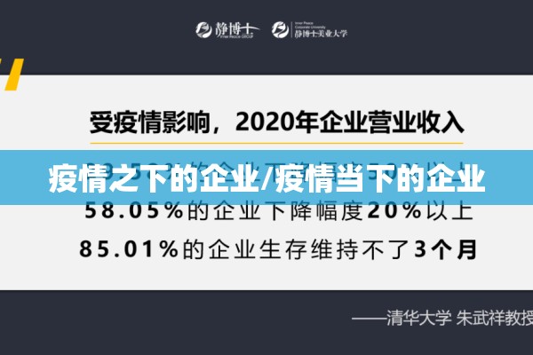 疫情之下的企业/疫情当下的企业 疫情之下的企业/疫情当下的企业