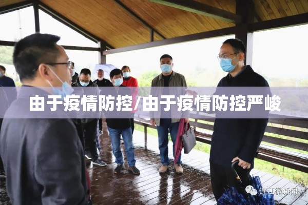 由于疫情防控/由于疫情防控严峻