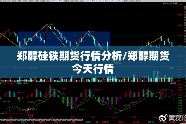郑醇硅铁期货行情分析/郑醇期货今天行情