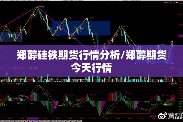 郑醇硅铁期货行情分析/郑醇期货今天行情