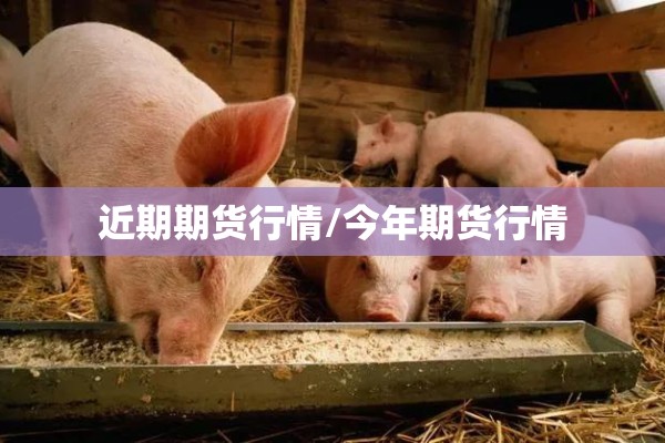 近期期货行情/今年期货行情 近期期货行情/今年期货行情