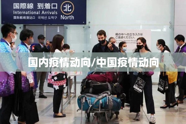 国内疫情动向/中国疫情动向 国内疫情动向/中国疫情动向