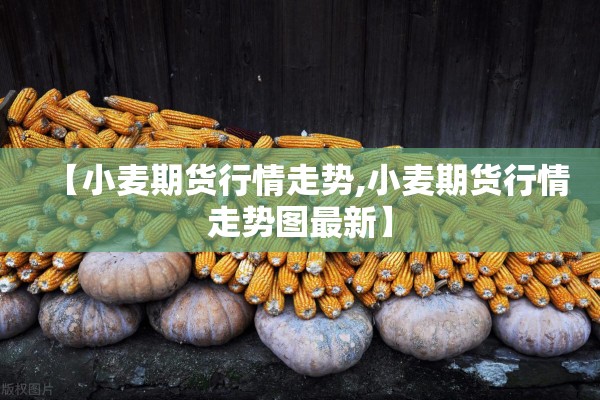 【小麦期货行情走势,小麦期货行情走势图最新】