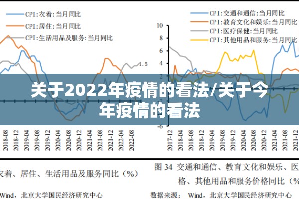 关于2022年疫情的看法/关于今年疫情的看法 关于2022年疫情的看法/关于今年疫情的看法