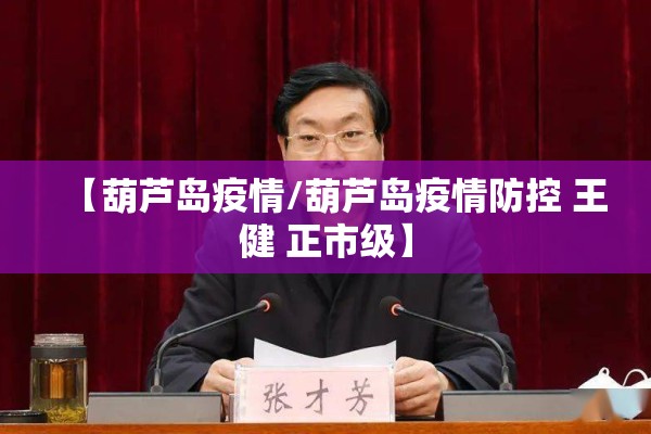 【葫芦岛疫情/葫芦岛疫情防控 王健 正市级】