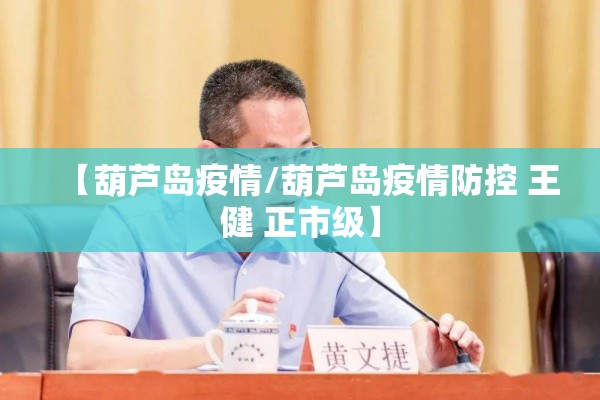 【葫芦岛疫情/葫芦岛疫情防控 王健 正市级】