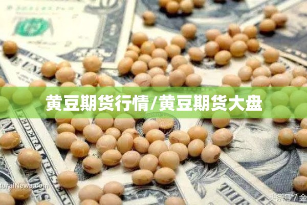 黄豆期货行情/黄豆期货大盘