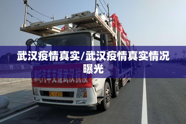 武汉疫情真实/武汉疫情真实情况曝光 武汉疫情真实/武汉疫情真实情况曝光