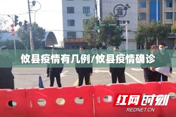 攸县疫情有几例/攸县疫情确诊