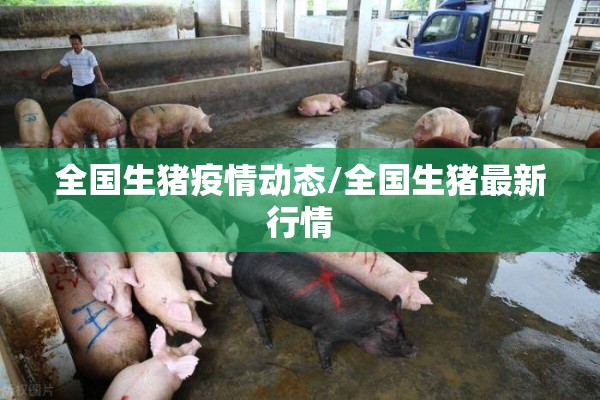 全国生猪疫情动态/全国生猪最新行情 全国生猪疫情动态/全国生猪最新行情