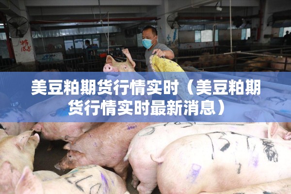 美豆粕期货行情实时（美豆粕期货行情实时最新消息）