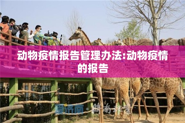 动物疫情报告管理办法:动物疫情的报告 动物疫情报告管理办法:动物疫情的报告