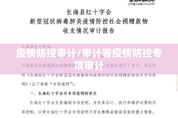 疫情防控审计/审计署疫情防控专项审计 疫情防控审计/审计署疫情防控专项审计