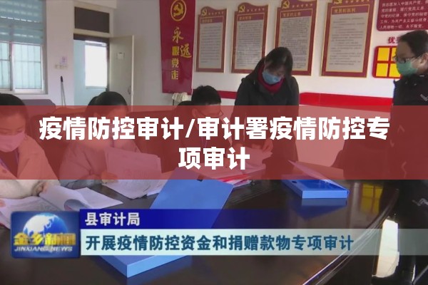 疫情防控审计/审计署疫情防控专项审计 疫情防控审计/审计署疫情防控专项审计