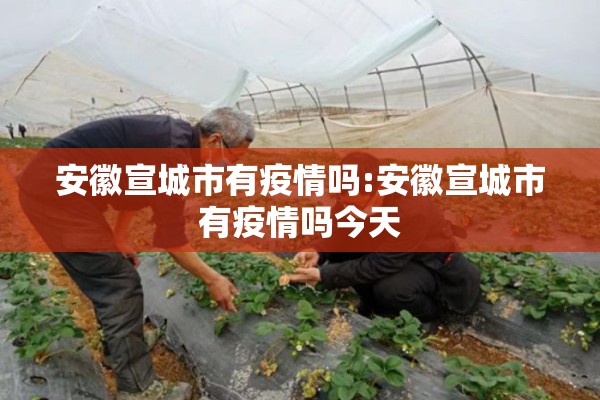 安徽宣城市有疫情吗:安徽宣城市有疫情吗今天 安徽宣城市有疫情吗:安徽宣城市有疫情吗今天